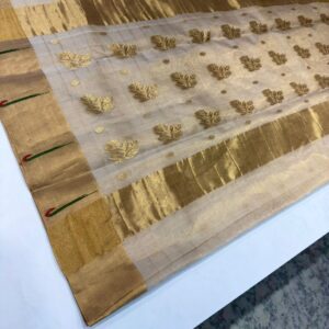 Champagne gold Chanderi Katan silk saree pallu featuring large woven gold leaf motifs and a thick zari border.
